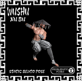 PP - WUSHU/ XU BU 