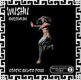 PP - WUSHU/ QUILONG BU