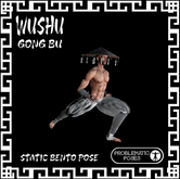PP - WUSHU/ GONG BU
