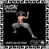PP - WUSHU/ BAN MA BU 