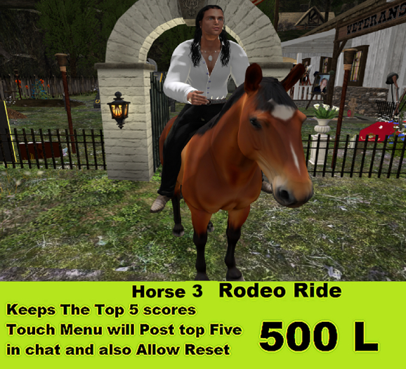 Horse 3 Rodeo Ride 2025