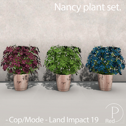 P.ReD. Nancy plant  set - Box