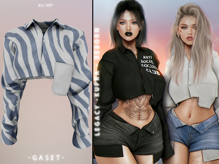 GASET - ZEBRA V2 ALI TOP