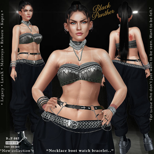 ::Black Panther:: 085 Set -  Box