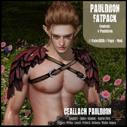 //RKS// Ceallach Pauldron - Fatpack