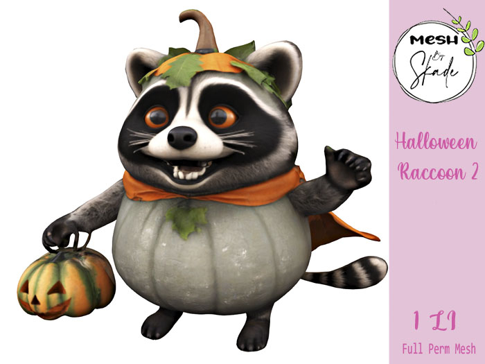 MBS - Halloween Raccoon 2 