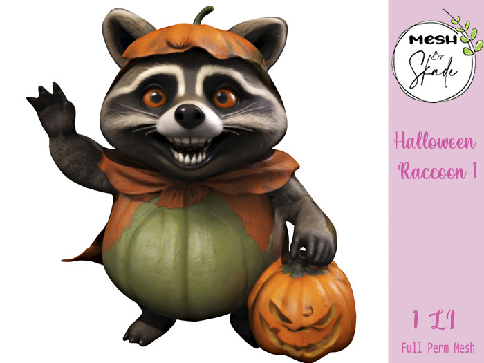 MBS - Halloween Raccoon 1