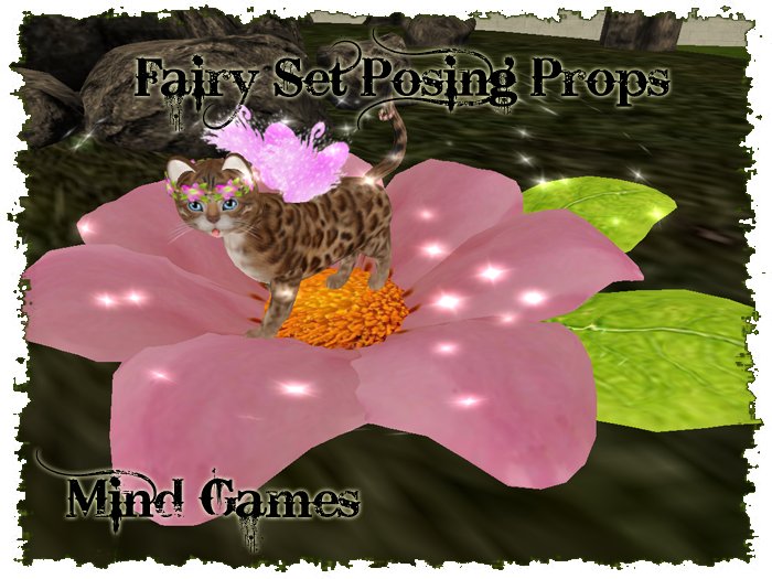 § Mind Games § Fairy Set Posing Props Pink