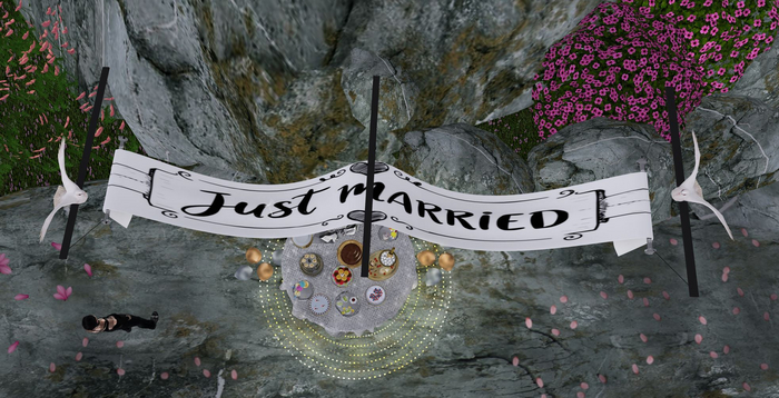 Nabi - JUST Married Banner