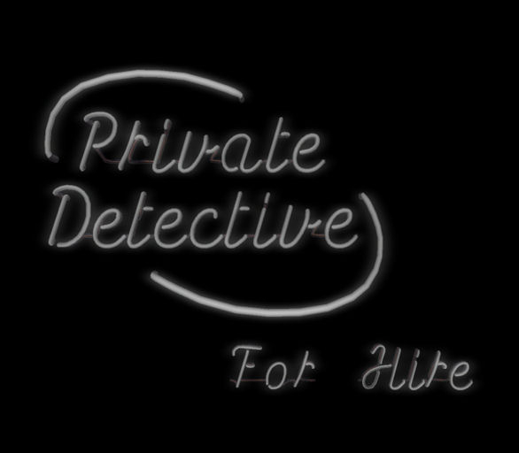 Private Detective For Hire Boxed Neon Sign