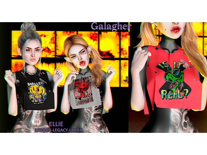 Galagher - Ellie Top Fatpack