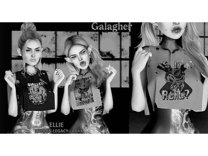 Galagher - Ellie Top DEMO