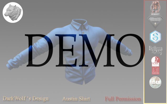 Austin Shirt Men Demo