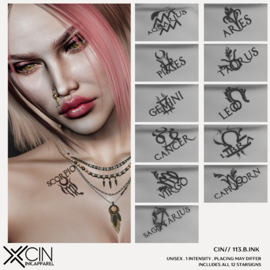 CIN// 113.B.INK
