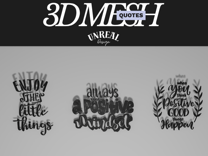 3d  Mesh Quotes Boxed