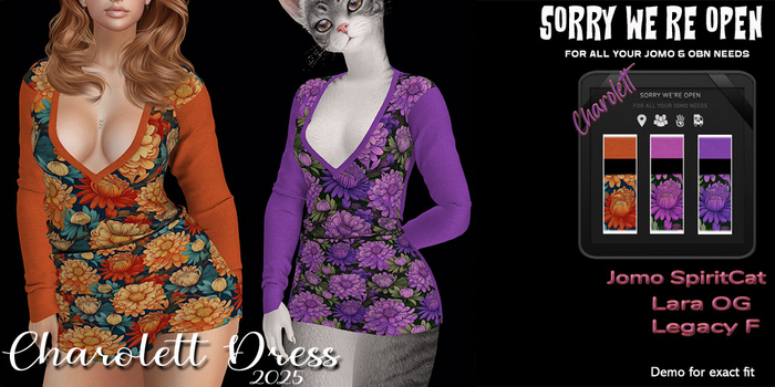 SWO OBN JOMO CHAROLETT DRESS
