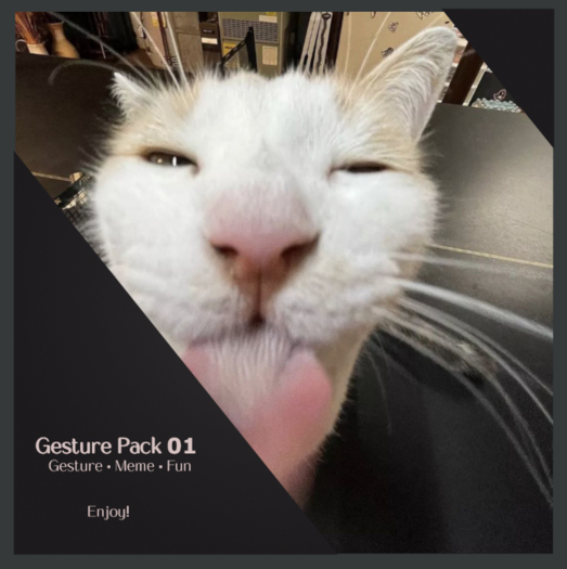 :: Gesture Pack 01 ::