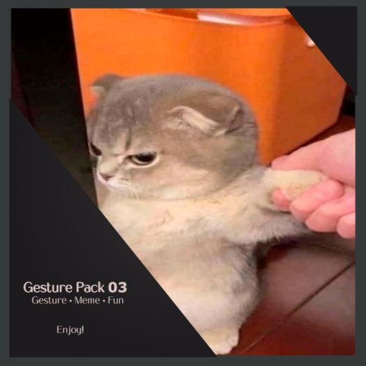 :: Gesture Pack 03 ::
