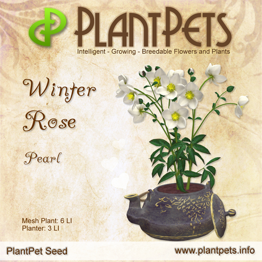 PlantPet Seed [Winter Rose *Pearl*] COMMON