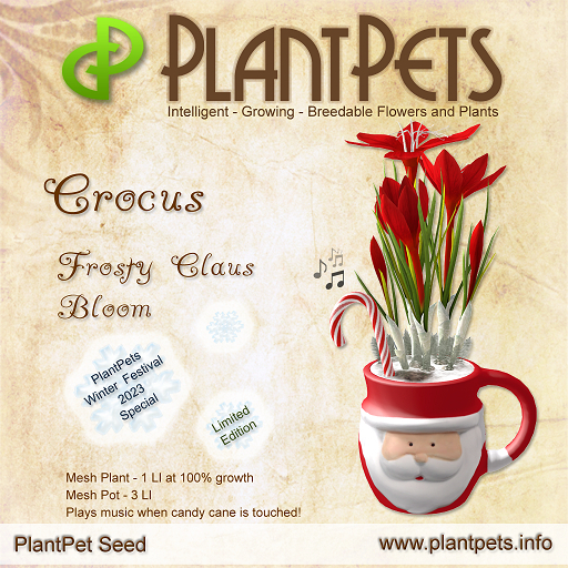 PlantPet Seed [Crocus *Frosty Claus Bloom*]