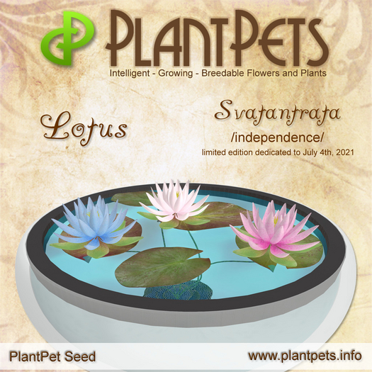 PlantPet Seed [Lotus *Svatantrata*]