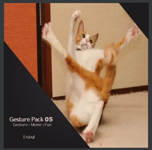 . :: Gesture Pack 05 :: .