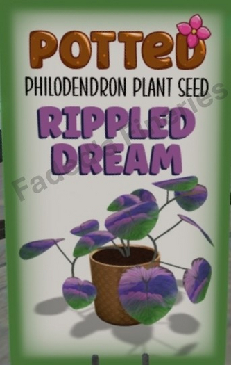 Potted: Philodendron Seed: Rippled Dream