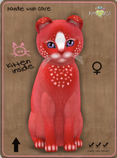 KittyCatS Box - Confetti - CherryBerry Female