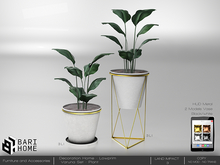 [BARI HOME] Varuna Set - Plant