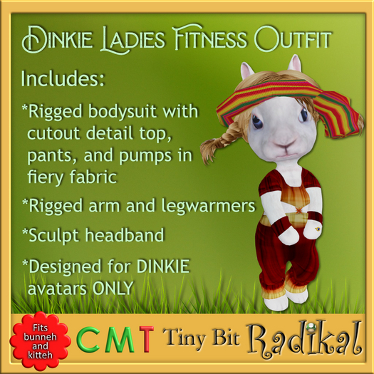Dinkie Ladies Fitness Outfit