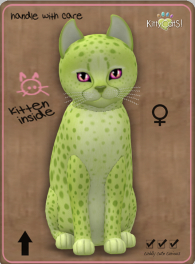 KittyCatS Box - Cheetah! - Lime No. 2 Female