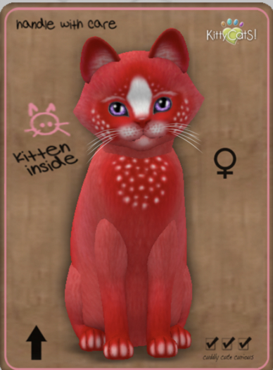 KittyCatS Box - Confetti - CherryBerry Female