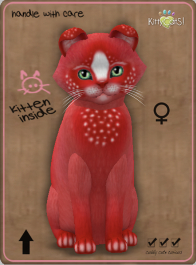 KittyCatS Box - Confetti - CherryBerry Female
