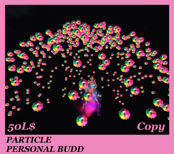 PARTICLE PERSONAL BUDD