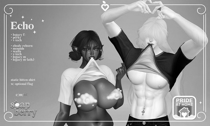 DEMO .SB. Echo Shirt 