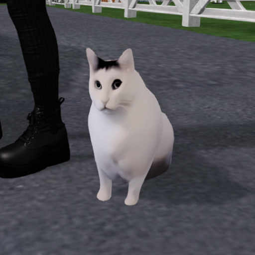 Kyu~T Huh Cat Gestures + Mesh Huh Cat