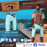 Shorts Bermuda Mint green *** REWARD *** for men