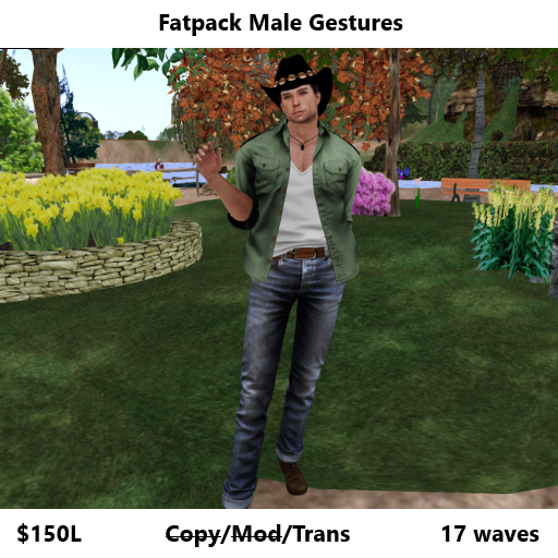Male Gesture Fatpack