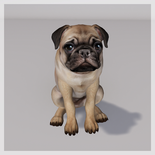 Zooby Animesh Puppy Tan Pug
