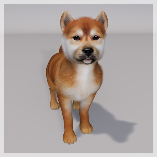 Zooby Animesh Puppy Shiba Inu