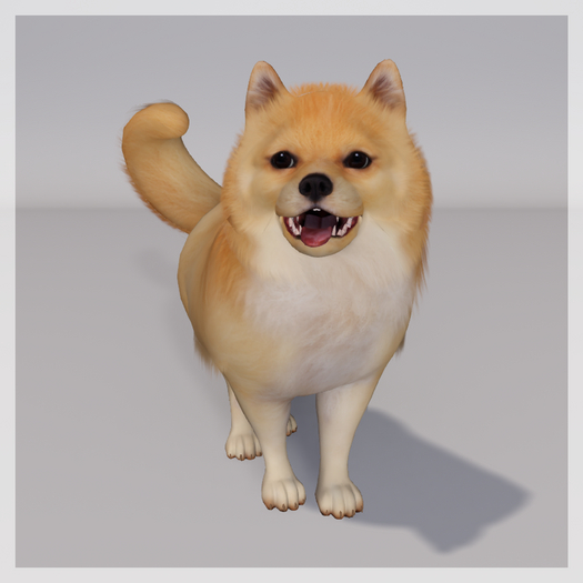 Zooby Animesh Puppy Light Pom