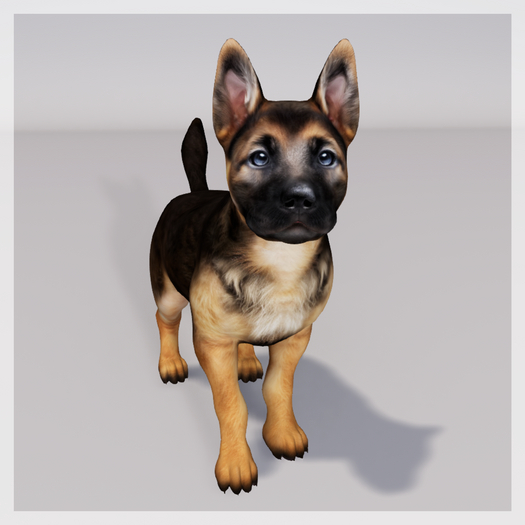 Zooby Animesh Puppy German Shepherd