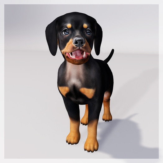 Zooby Animesh Puppy Doberman