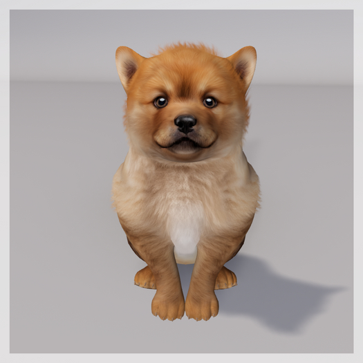 Zooby Animesh Puppy Chow Chow