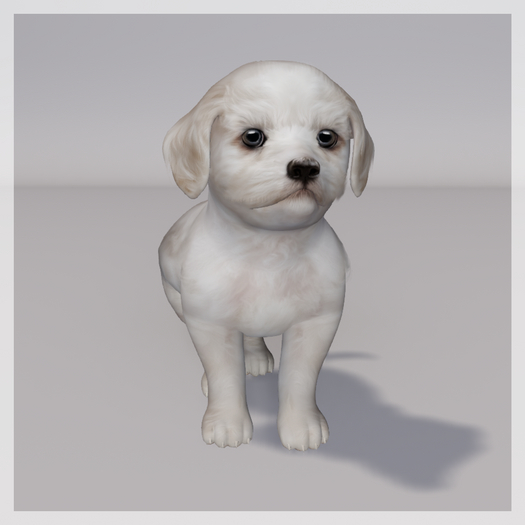 Zooby Animesh Puppy Bichon