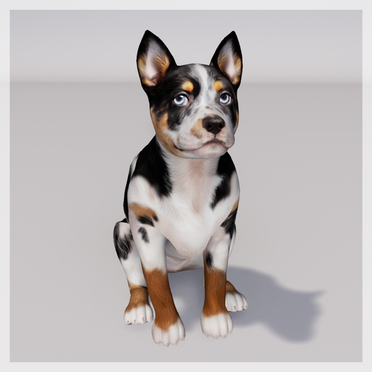Zooby Animesh Puppy Australian Cattle