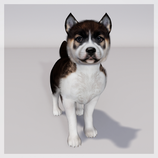 Zooby Animesh Puppy Akita