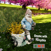 Gnome with Forsythia