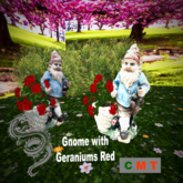  Gnome with Geraniums Red 