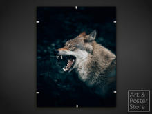 Wolf 01 | Wildlife Photo Poster | Mesh Clip Frame 